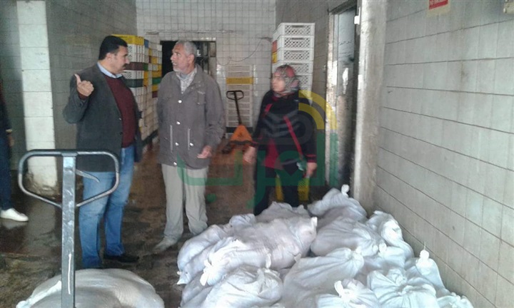 ضبط 9 طن دجاج غير صالحة للاستهلاك الآدمى بالخانكة