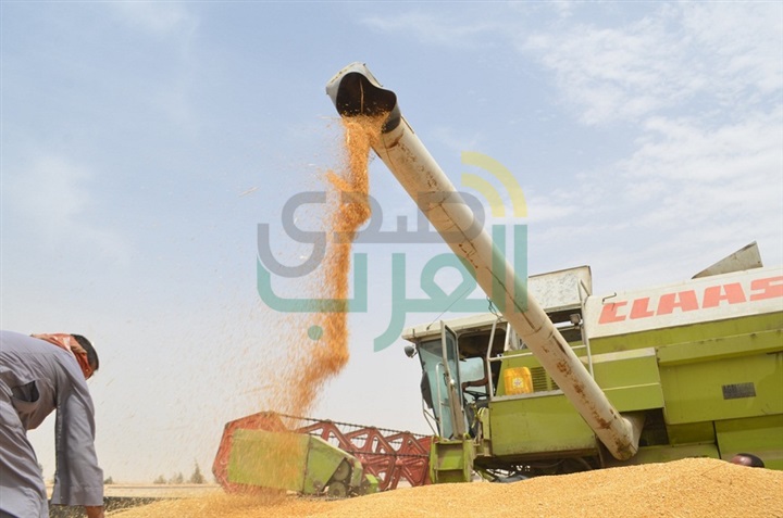 محافظ قنا لـ"صدي العرب".. قنا فى قلب وعقل  فخامة الرئيس عبد الفتاح السيسي