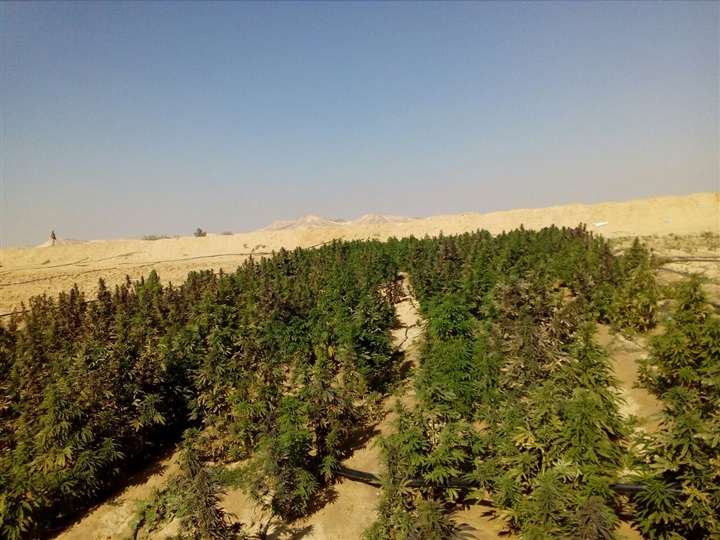 تدمير مخزن عثر بداخله على كمية كبيرة من الذخائر