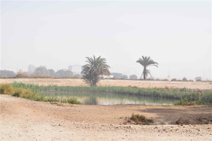 بالصور.. محافظ المنيا يتفقد مشروع المفرغ الصناعي السمكي لبدء تطويره