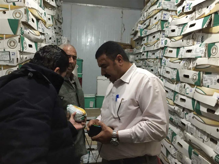 ضبط 6 آلاف كيلو مفروم دواجن فاسدة بالخانكة 