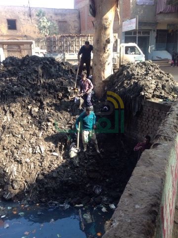 بالصور.. حملة مكبرة لتطهير الترع والكبارى بالقليوبية 