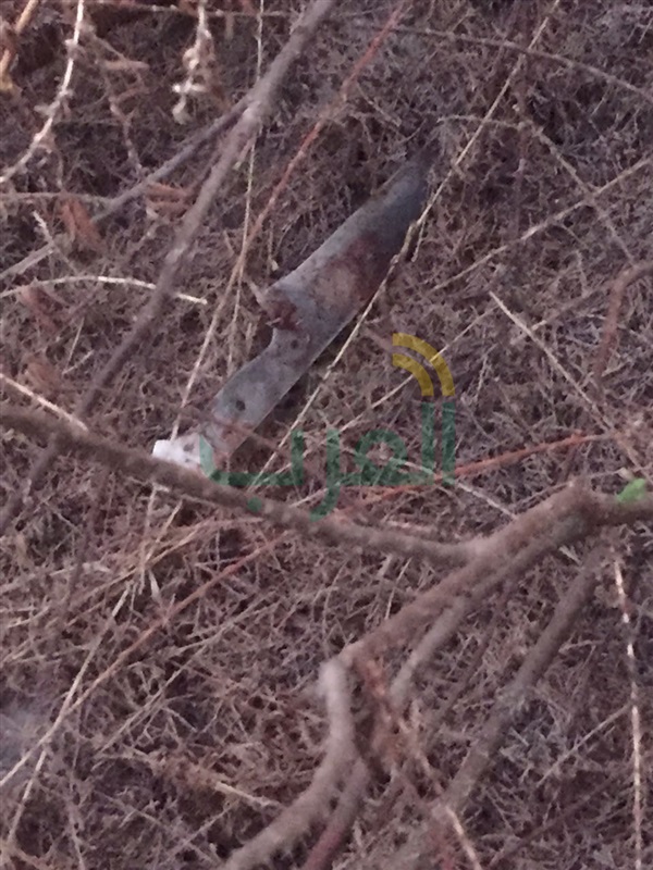 يقتل طفل ويفصل رأسه عن جسده لسرقة توك توك بالصف