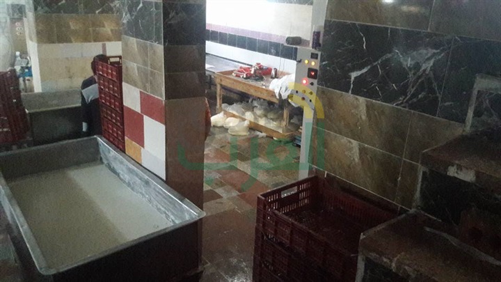 بالصور.. ضبط 235 جوال ملح فاسد وطن جبنة مجهولة المصدر بكفر الشيخ