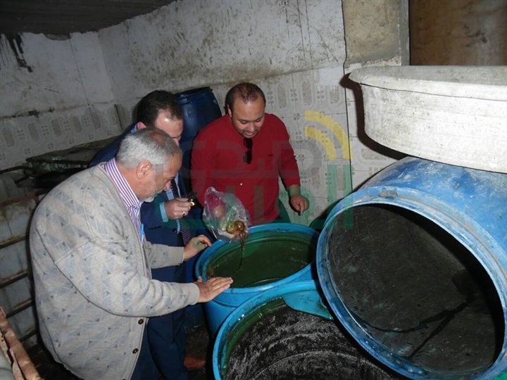 ضبط 5.5 طن "مخلالات" فاسدة بمصنع في كفر الشيخ