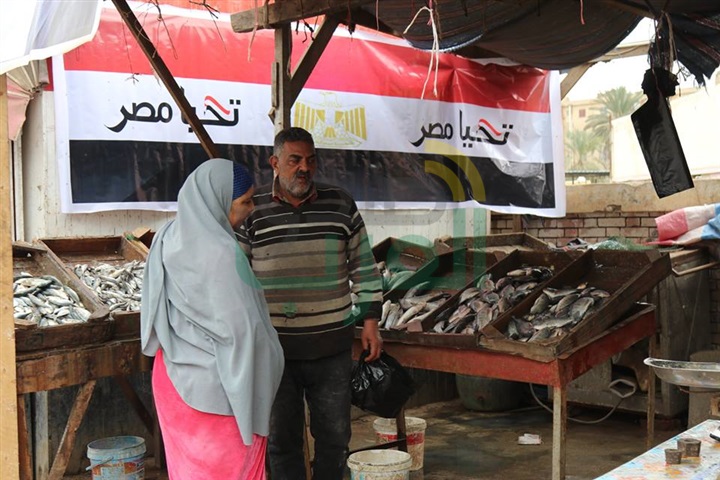 بالصور.. محافظ كفر الشيخ يشدد على فتح منافذ جديدة لبيع السلع الغذائية