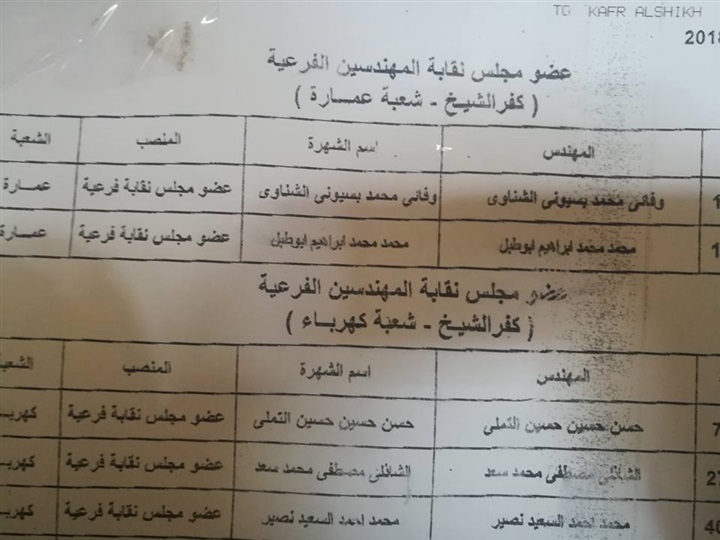 بالصور.. إقبال متوسط في انتخابات نقابة المهندسين بكفر الشيخ