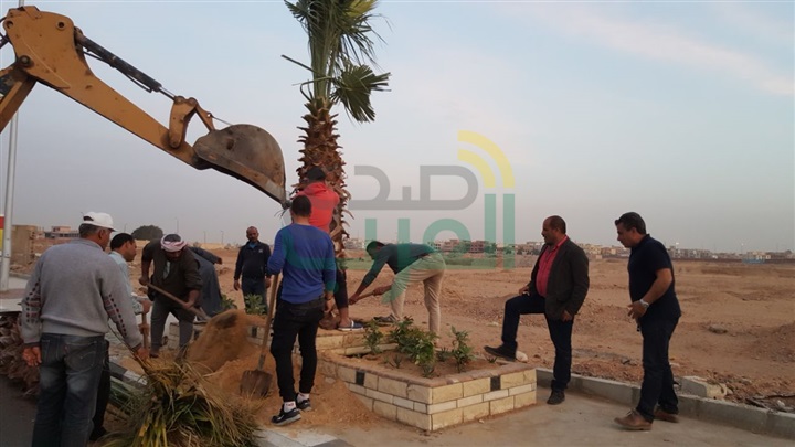 بالصور.. حملة لزراعة 2500 نخلة فى مداخل ومخارج  «الشروق»