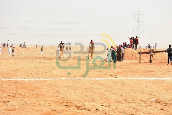 محافظ الشرقية يوزع دروع التميزعلى المتسابقين الفائزين فى مهرجان الشرقية التاسع للهجن العربية