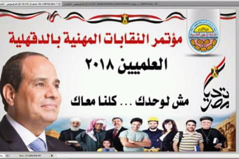 بالصور.. حملات دعم "السيسى" تواصل مؤتمراتها الجماهيرية بالمحافظات
