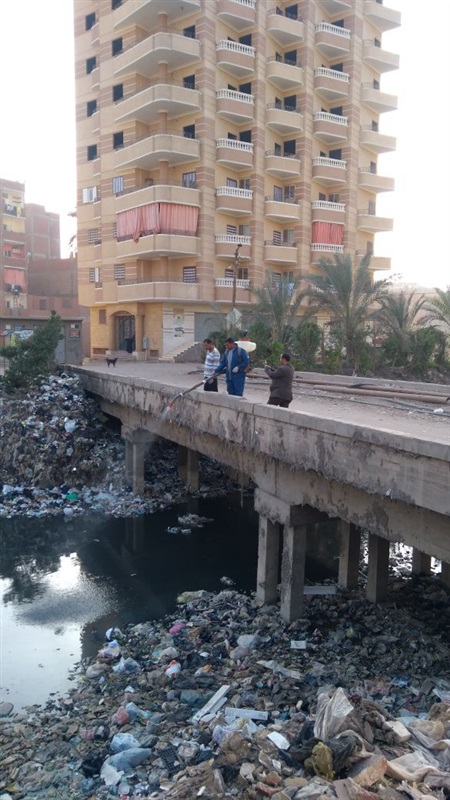 حملة شاملة لمواجهة الناموس بمدن وقرى القليوبية 