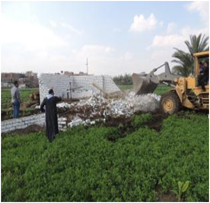 تنفيذ 19 قرار إزالة تعديات على نهر النيل والأراضي الزراعية بالجيزة