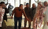  اعدام جاموستين مصابتين بالسل في كفر الشيخ