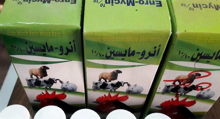 ضبط 240 عبوة أدوية بيطرية مخالفة و 4 مراكز لبيع وتداول الأدوية البيطرية بدون ترخيص بالشرقية 