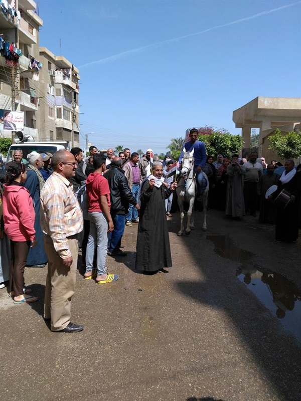 الرقص بالخيول والطبل البلدى أمام لجان قها