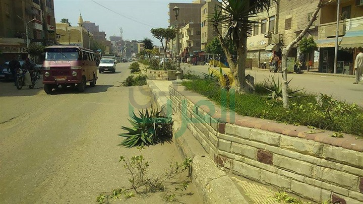 بالصور.. حدائق ومنتزهات كفر الشيخ تستعد لاستقبال المواطنين في أعياد الربيع