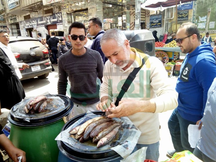 رئيس مدينة الحامول: إعدام 650 كجم فسيخ ورنجة فاسدة في حملة علي الأسواق