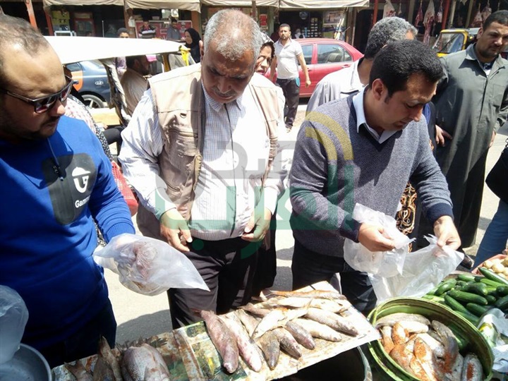 رئيس مدينة الحامول: إعدام 650 كجم فسيخ ورنجة فاسدة في حملة علي الأسواق