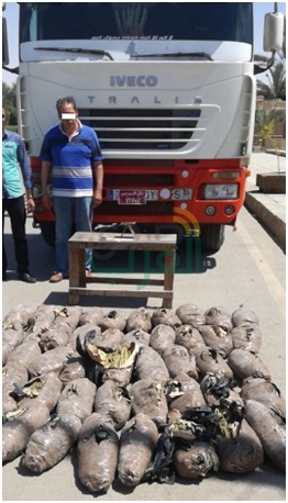 بالصور.. «كمين» يحبط تهريب شحنة بانجو بـ«نفق الشهيد»