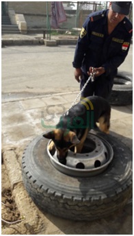 بالصور.. «كمين» يحبط تهريب شحنة بانجو بـ«نفق الشهيد»