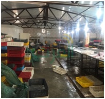 بالصور.. ضبط 14 متهم يديرون مصنعا بداخلة 70 طن دواجن فاسدة بالفيوم