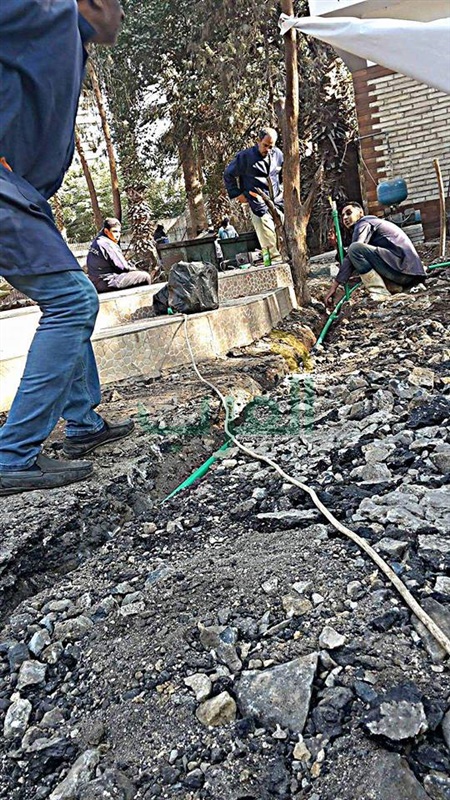 بتكلفة 400 ألف جنية.. "فرحهم واسعدهم": 6 حمامات لذوي الاحتياجات الخاصة بحديقة الحيوان