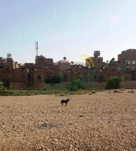 رغم وعود وزير الشباب بالبدء في أعمال التطوير .. إستاد نجع حمادي محلك سر منذ 30 عامًا