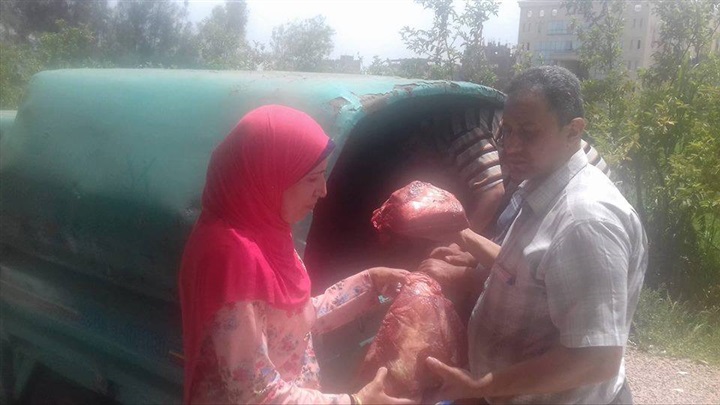 بالصور..ضبط سجاير "مسرطنة" ولحوم "فاسدة" وسولار "مدعم" بكفر الشيخ