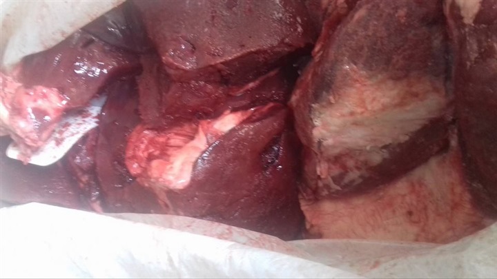 بالصور..ضبط سجاير "مسرطنة" ولحوم "فاسدة" وسولار "مدعم" بكفر الشيخ