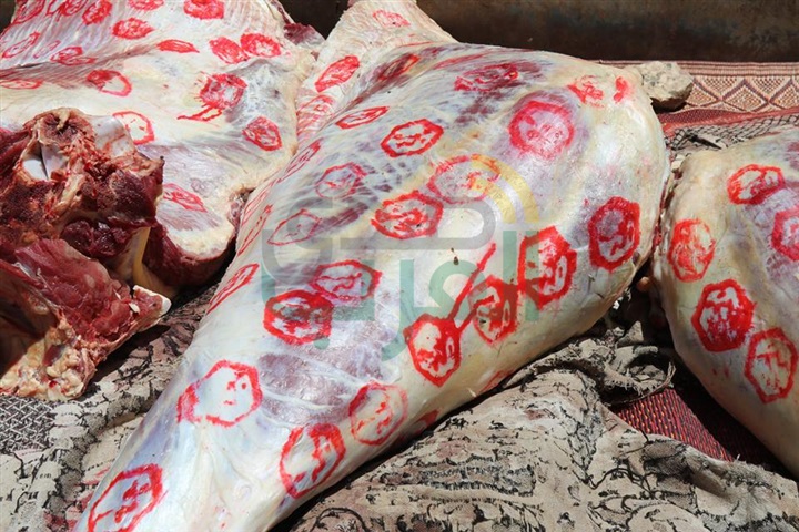 بالفيديو والصور.. ضبط 234 كيلو لحوم بأختام مزورة في كفر الشيخ