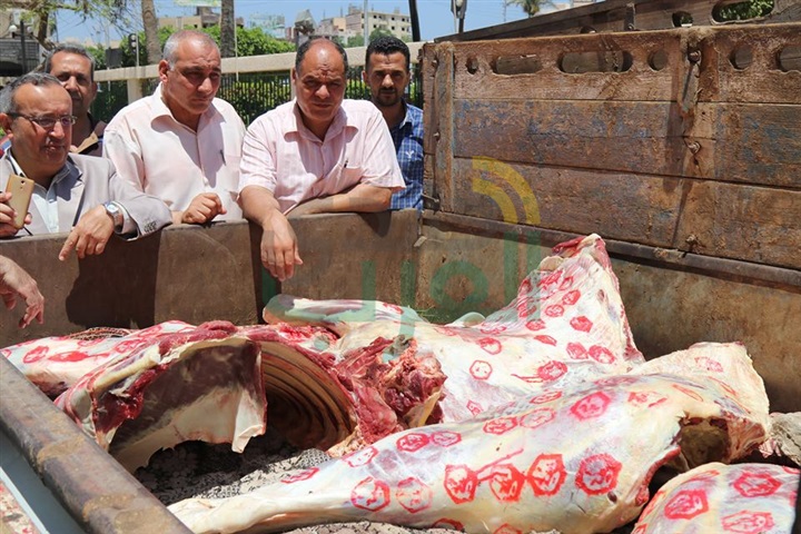 بالفيديو والصور.. ضبط 234 كيلو لحوم بأختام مزورة في كفر الشيخ