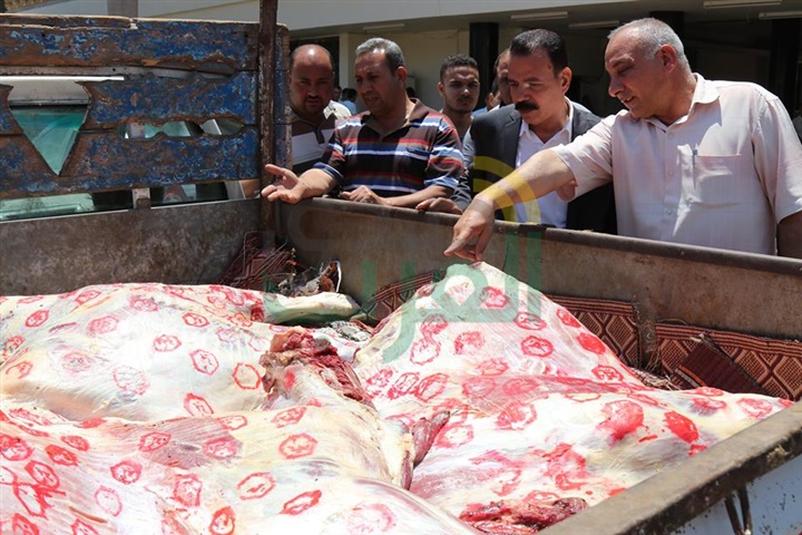 بالفيديو والصور.. ضبط 234 كيلو لحوم بأختام مزورة في كفر الشيخ