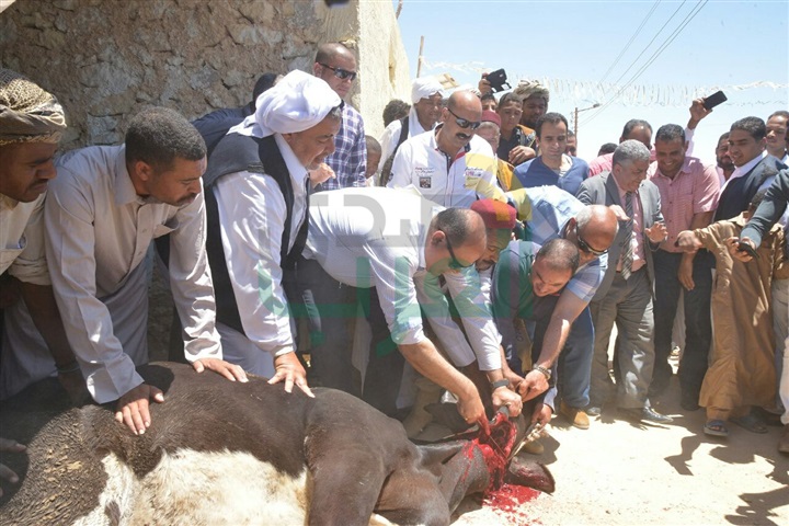 بالصور.. محافظ مطروح يوزع هدية رئيس الجمهورية لأصغر واحة مصرية 