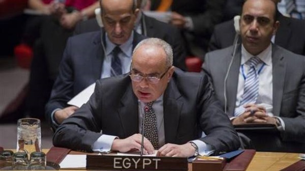 السفير عمرو أبو العطا