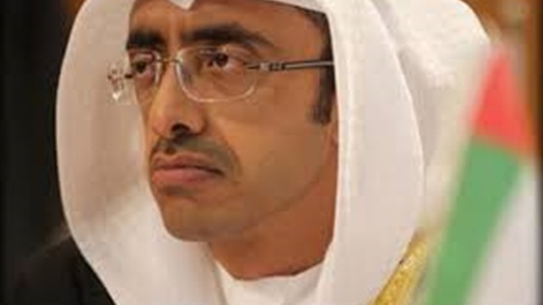 وزير الخارجية الاماراتى