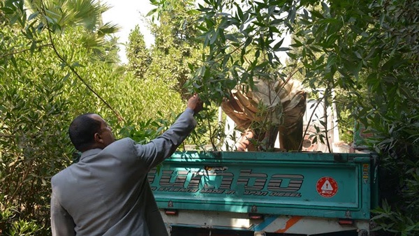 صدى العرب