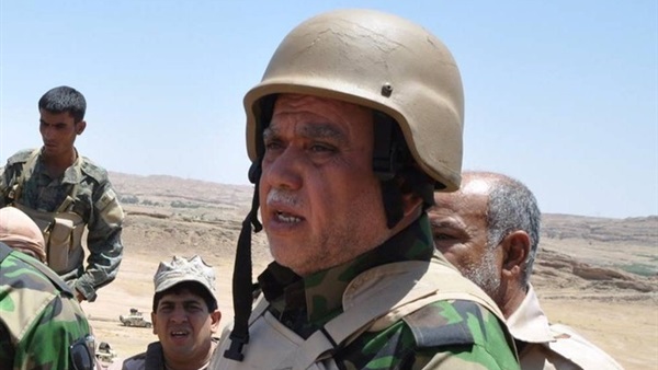 هادي العامرى