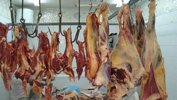 صورة ارشيفية