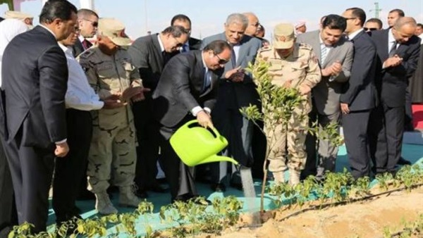 صدى العرب