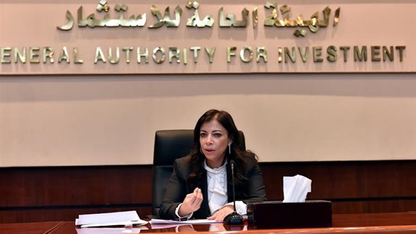 وزيرة الاستثمار داليا