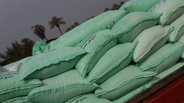 صورة - أرشيفية