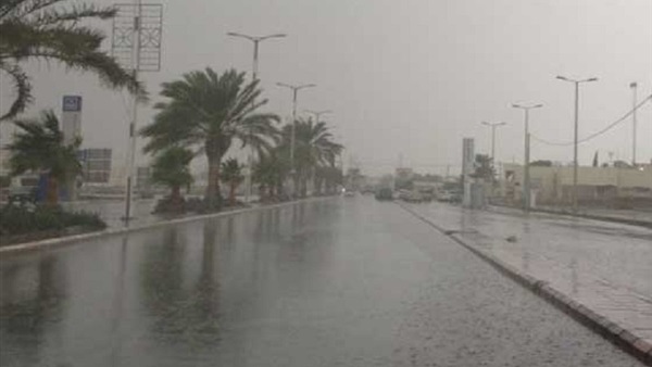 صدى العرب