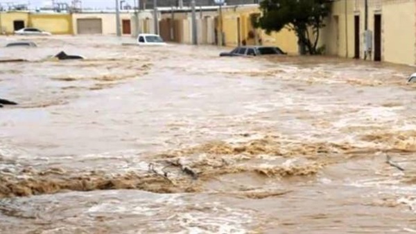 صدى العرب