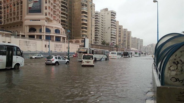 الدكتور خالد مجاهد،