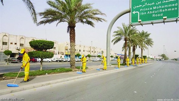 صدى العرب