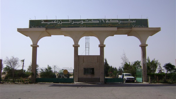 شركة أكتوبر الزراعية