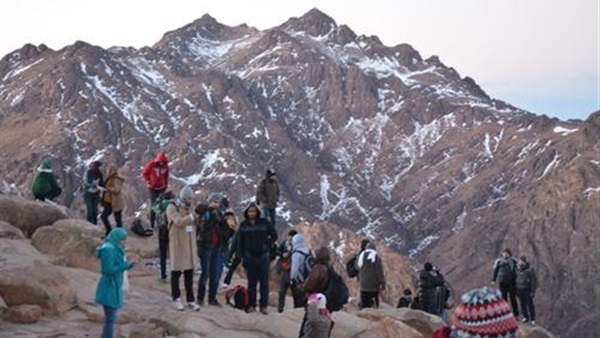 صدى العرب