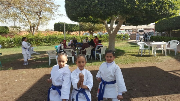 صدى العرب