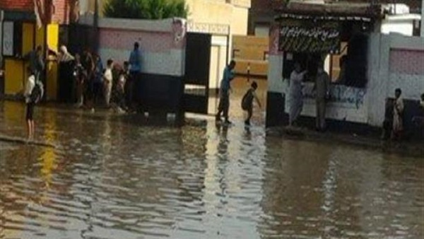 صدى العرب