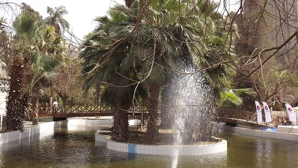 صدى العرب